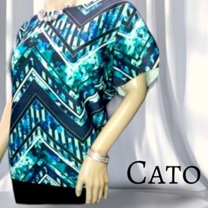 Cato floral chevron top 18/20
